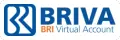 BRI Virtual Account